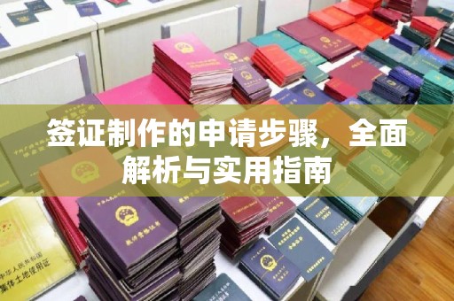 鹿野签证制作的申请步骤，全面解析与实用指南