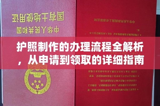 鹿野护照制作的办理流程全解析，从申请到领取的详细指南