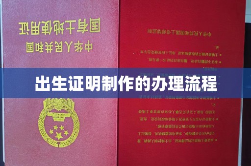 鹿野出生证明制作的办理流程